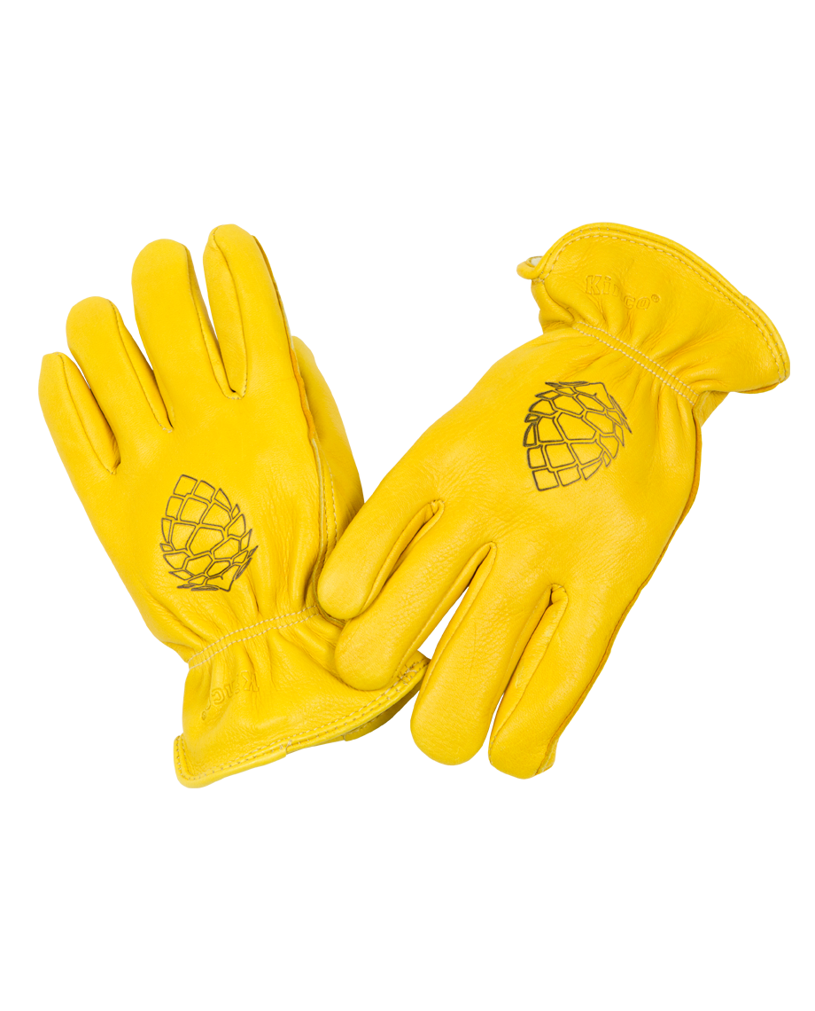 branded leather gloves