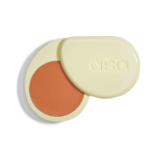 This is an image of Asa Terracotta Cream Corrector on www.sublimelife.in