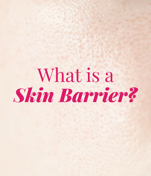 This is an image of What is a Skin Barrier on www.sublimelife.in