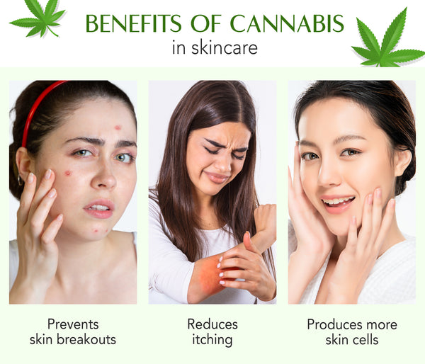 This is an image for Benefits of Cannabis in skincare on www.sublimelife.in 