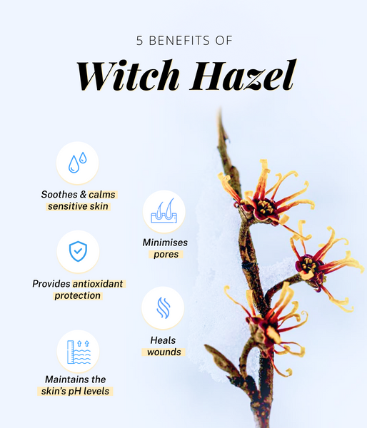 This is an image on 5 Benefits of Witch Hazel are as follows on www.sublimelife.in