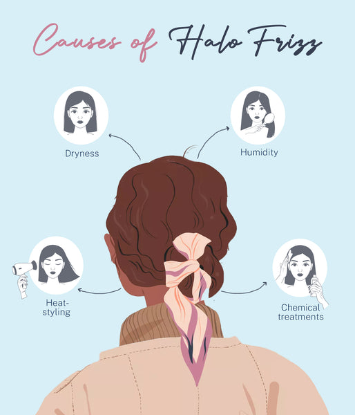 This is an image on Causes of Halo Frizz on www.sublimelife.in
