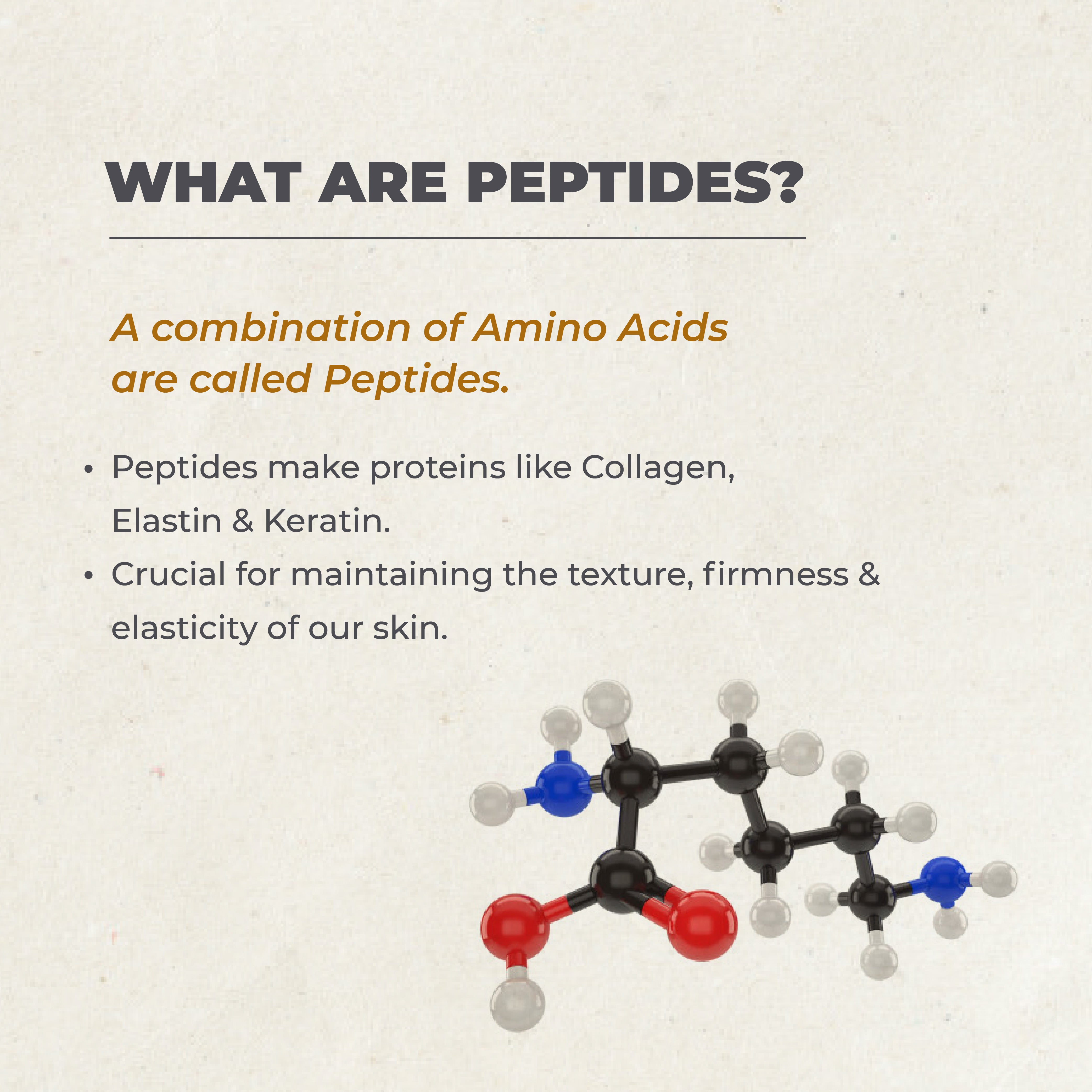 This is an image of what are peptides on www.sublimelife.in 