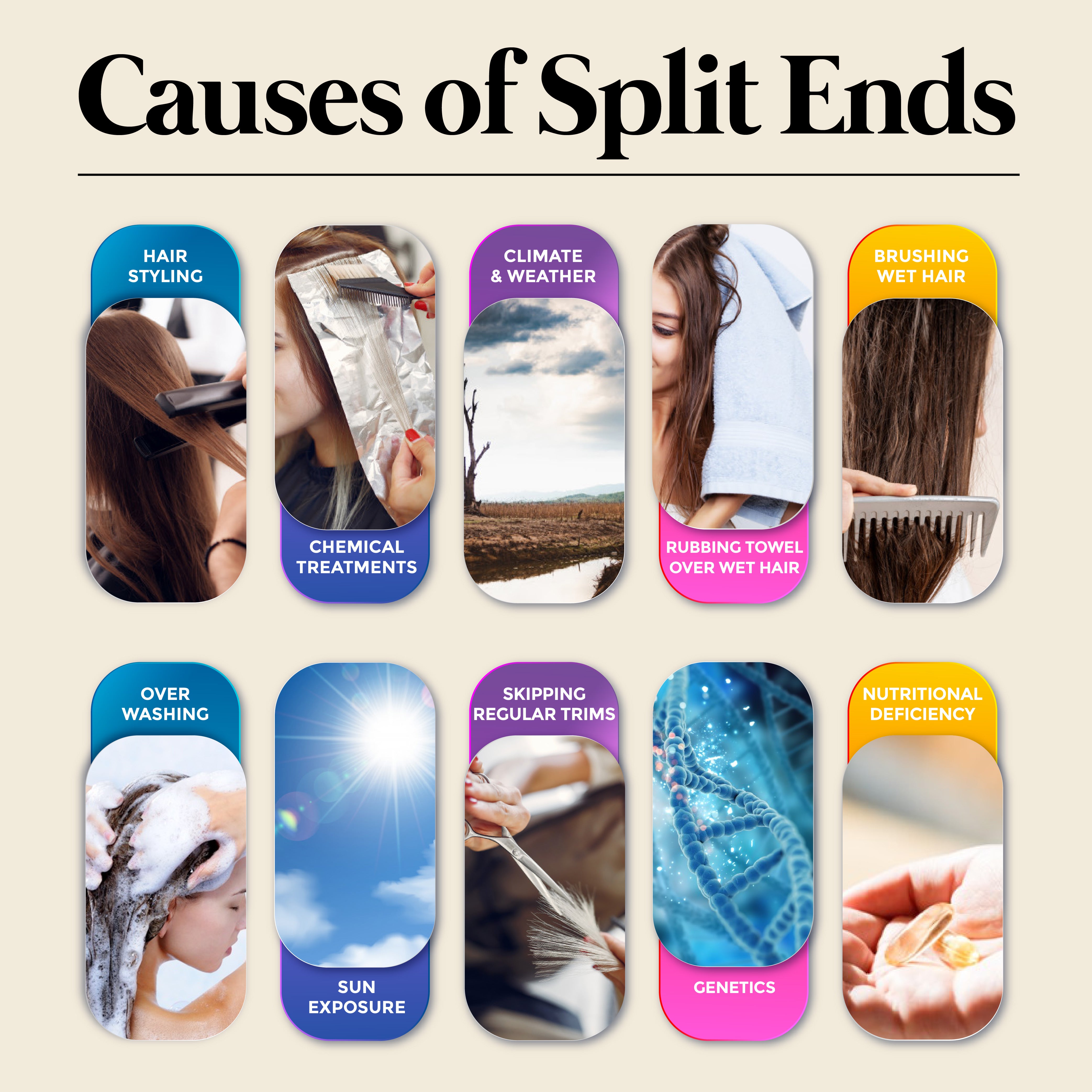 Split Ends  Causes and Treatments  Cindy French Hair Solutions