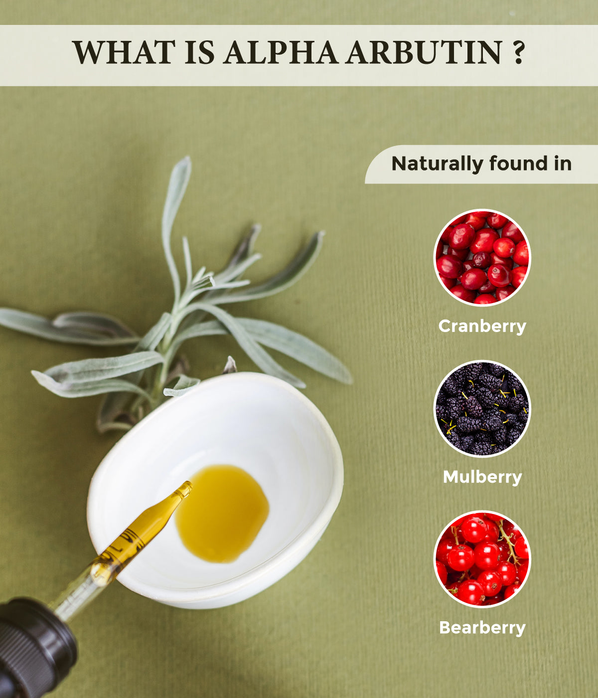 This is an image of Alpha Arbutin on www.sublimelife.in