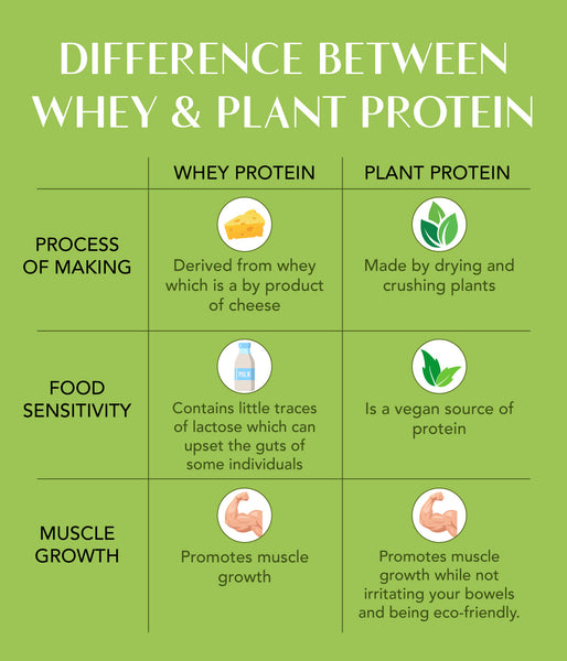 This is an image of Difference between plant and whey protein on www.sublimelife.in
