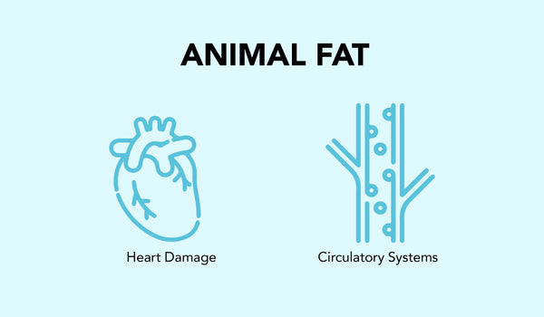 This is an image of Animal Fat on www.sublimelife.in