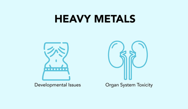 This is an image of Heavy Metals on www.sublimelife.in