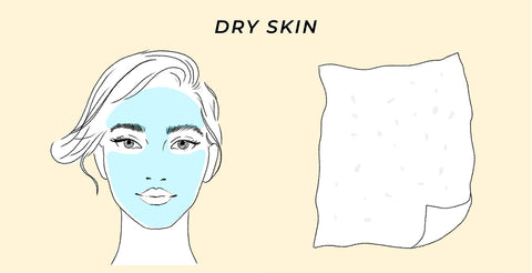 This is the skin type test result for dry skin