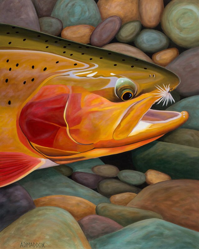 Rainbow On AD Maddox Fly Fishing Art