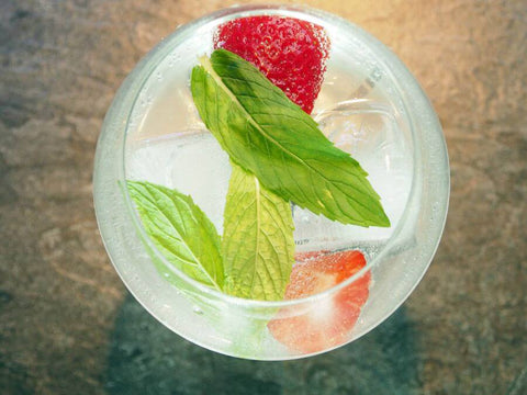 strawberry and mint gin and tonic