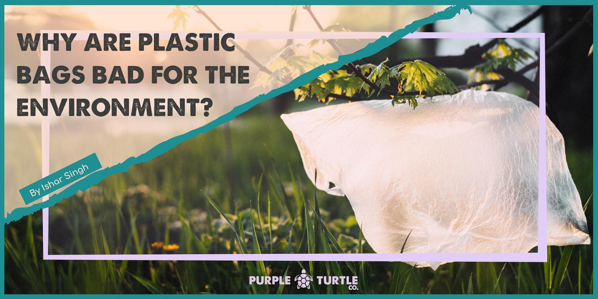 Why are plastic bags bad for the environment?