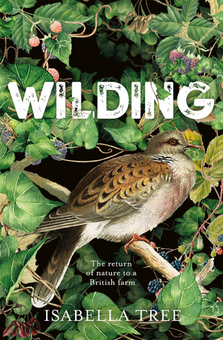 Front cover of Isabella Tree's book 'Wilding' with a bird sitting in a tree.