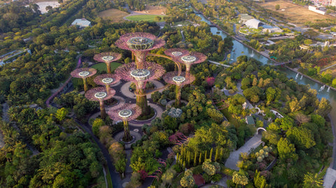 Gardens by the Bay in Singapore - trees surrounding large red, flower-like metal structures.