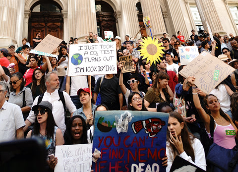 Crowd of people at environmental protest with posters.