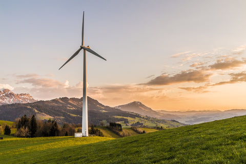 Wind farm, agriculture alternative