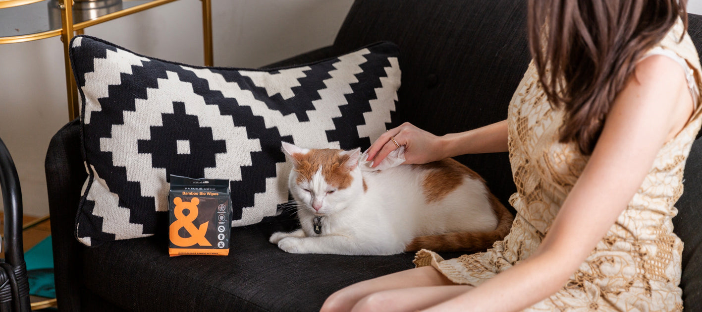 baby wipes safe for cats