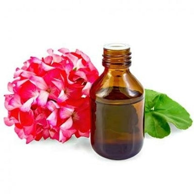 organic geranium essential oil