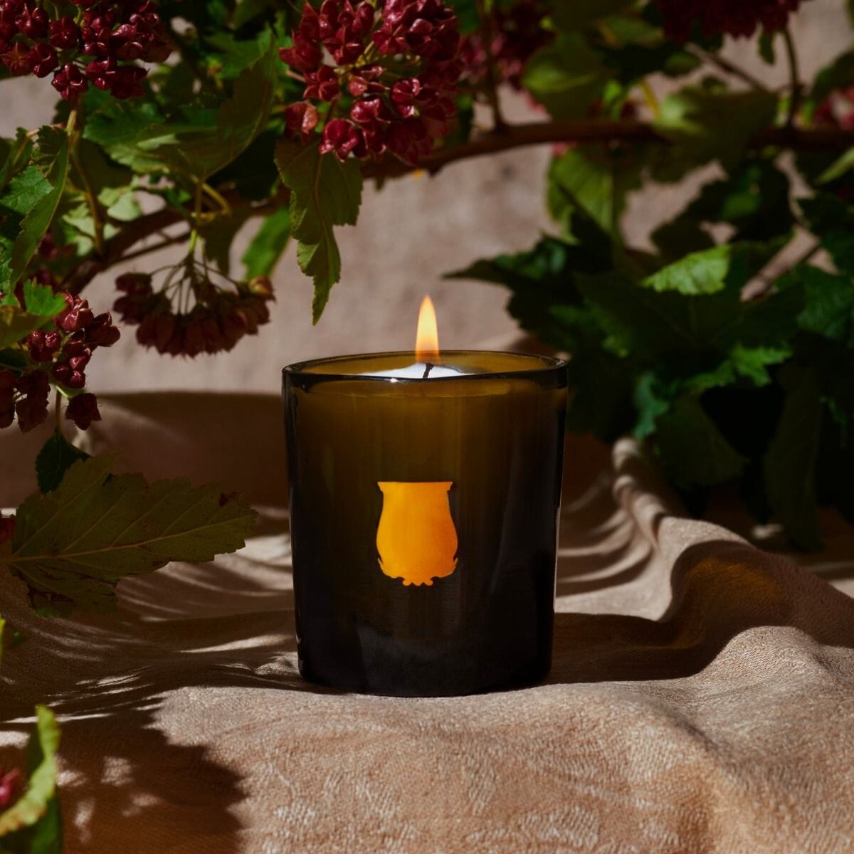 Cire Trudon Alabasters Ernesto Scented Candle - BARNBURY