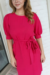 All Worth It Belted Dress