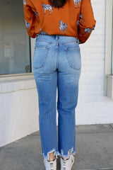 Jayden High Rise Jeans