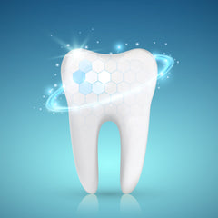 tooth enamel being strengthened by hydroxyapatite in bone broth