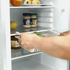 Expandable Refrigerator Storage Rack – SprinkleJingle