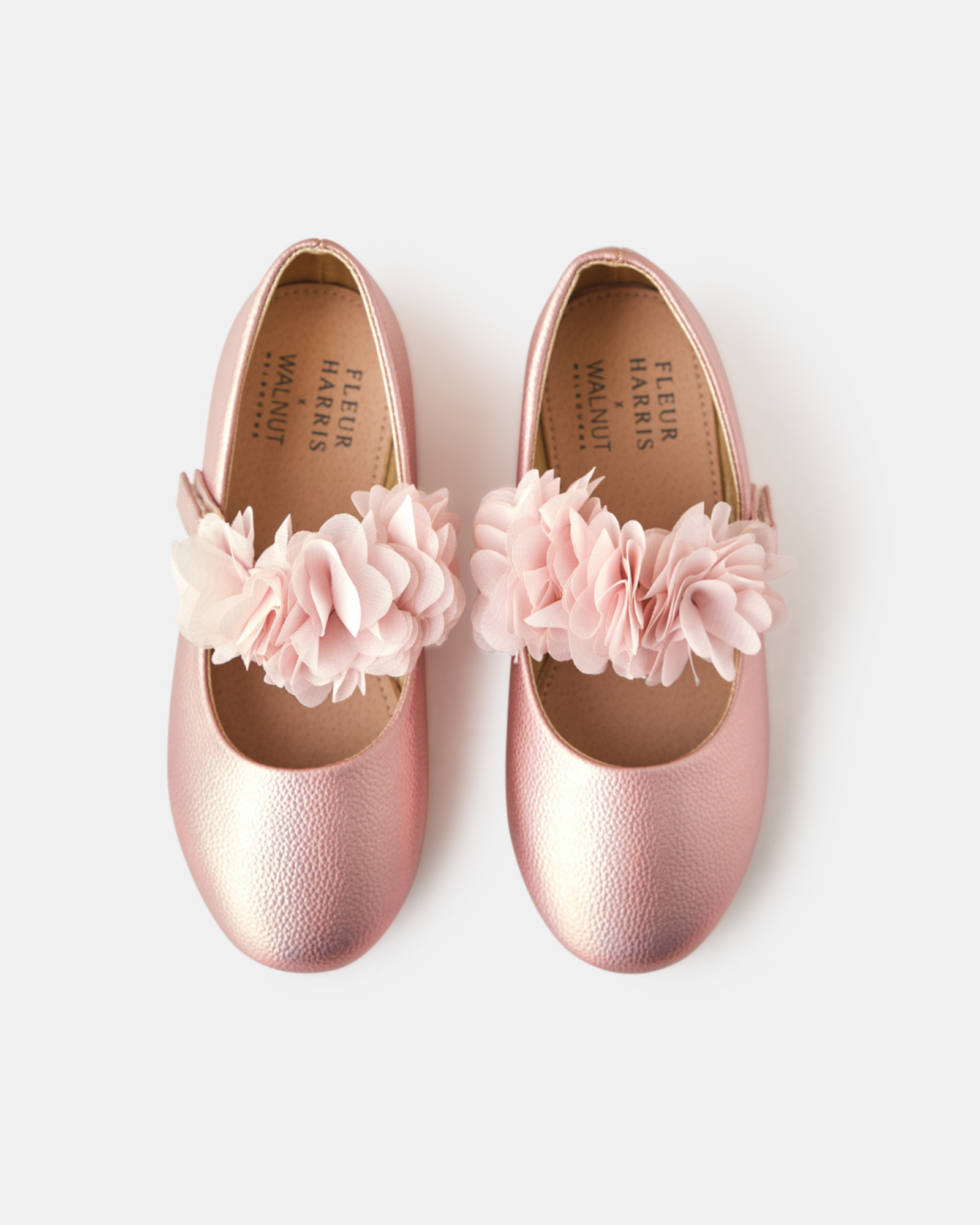 Fleur Harris Dahlia Ballet - Pink