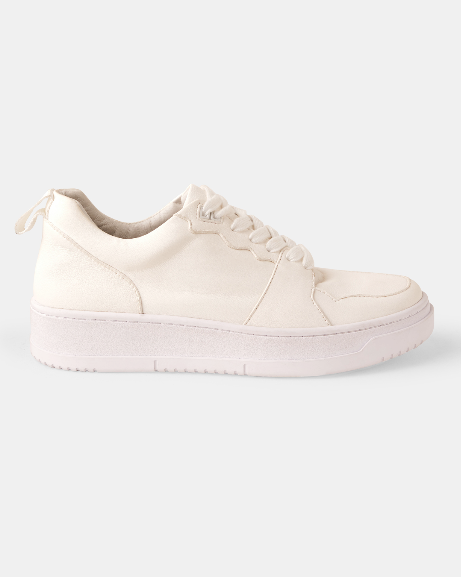 Gio Sneaker - White