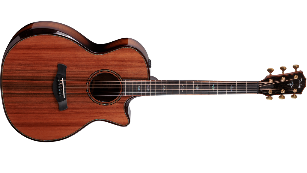 Taylor Builders Edition 914CE Front