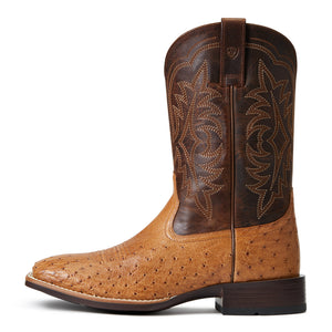 'Ariat' Men's 11" Night Life Ultra Western Square Toe - Ranger Smooth Quill Ostrich / Beam Brown
