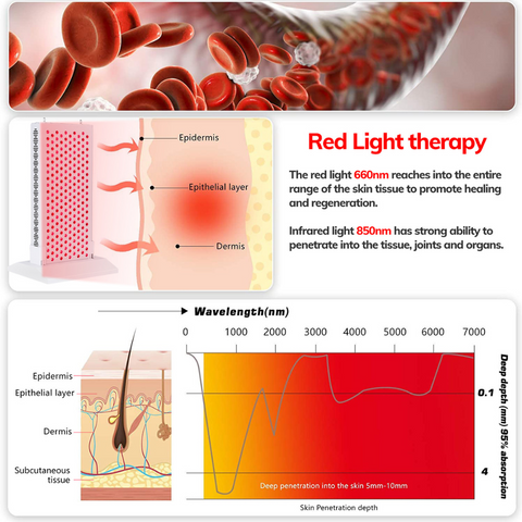 Advanced EMS, RF, and Red & NIR Light Therapy for Face and Body