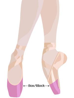 What Makes A Professional Pointe Shoe? – Inspirations Dancewear Canada
