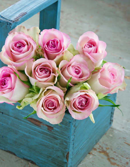 Same day flower delivery Toronto – Toronto flowers gifts - Traditional Flower Gifts