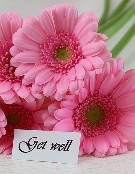 Get Well Soon Flower Gifts Delivered to America