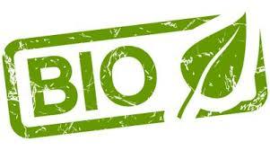 Logo biologico sicilyaddict