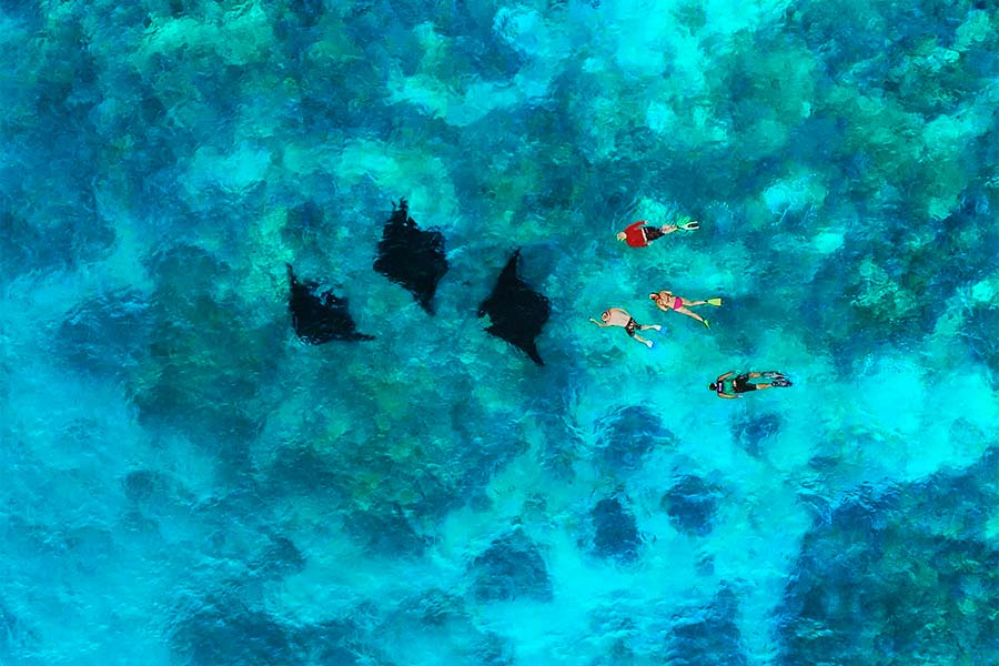 Aerial photo of Manta Ray Passage in Fiji showing a group of snorkelers chasing 3 large reef mantas.