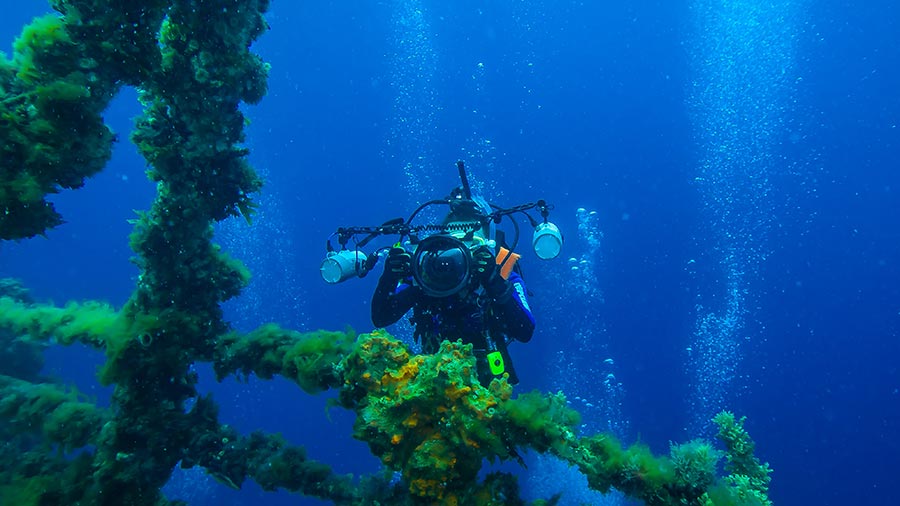 Ocean Jobs, Underwater Filmmaker with camera and lights