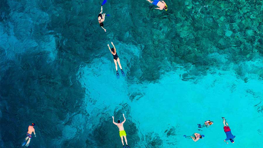 friends and family snorkeling together in a group