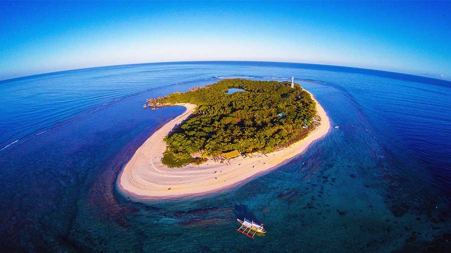 world snorkeling Apo Island in Philippines