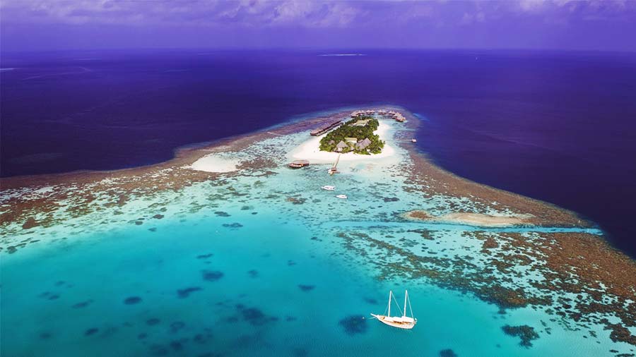 world snorkeling in Maldives South Ari Atoll