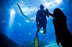 Oceanarium Lisbon. Things to do in Lisbon with kids when it rains. Indoor activities for kids in Lisbon. Best kid-friendly indoor activities in Lisbon. Family indoor activities in Lisbon. What to do and where to go in Lisbon with kids when it rains. Museums in Lisbon for kids. Visit lisbon with kids.