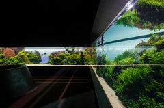 Oceanarium Lisbon. Things to do in Lisbon with kids when it rains. Indoor activities for kids in Lisbon. Best kid-friendly indoor activities in Lisbon. Family indoor activities in Lisbon. What to do and where to go in Lisbon with kids when it rains. Museums in Lisbon for kids. Visit lisbon with kids.