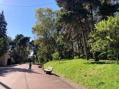 Visit Lisbon with kids. Looking for green spaces? Or outdoor activities to do with kids? Check our list to the best parks and gardens for kids in Lisbon.