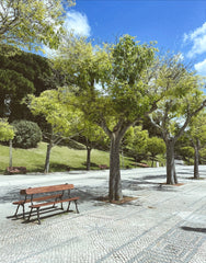 the_best_parks_and_gardens_for_kids_in_Lisbon