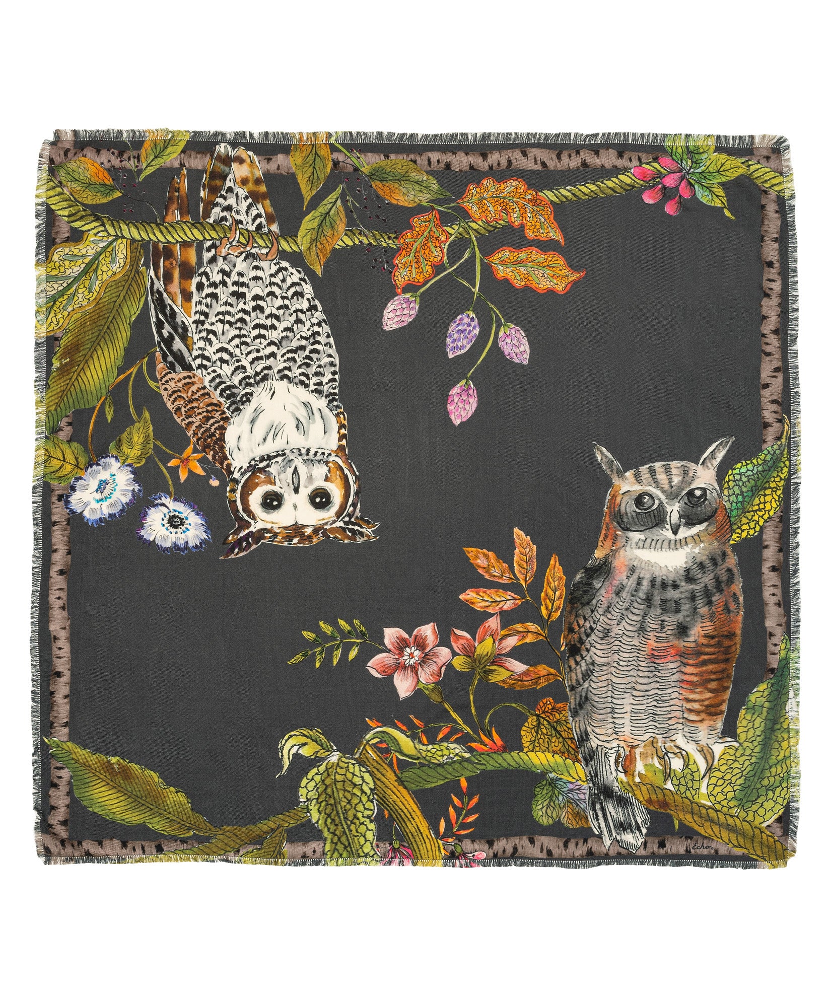 Echo New York Hoot Hoot Square Scarf In Gray