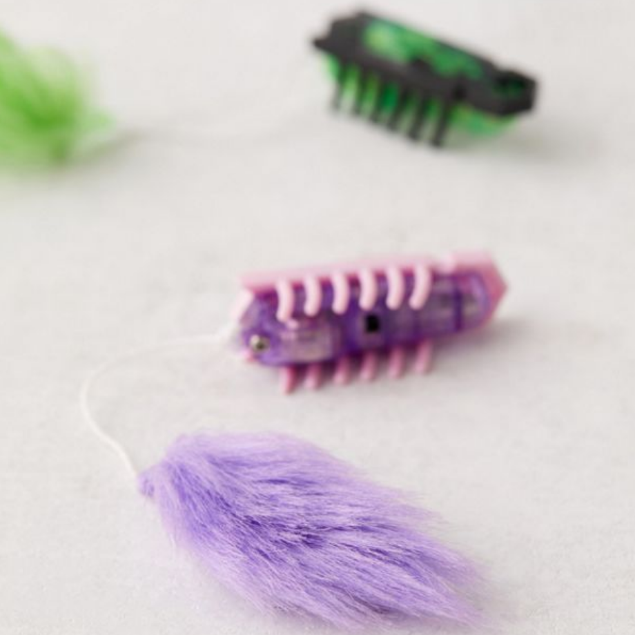 nano bug cat toy