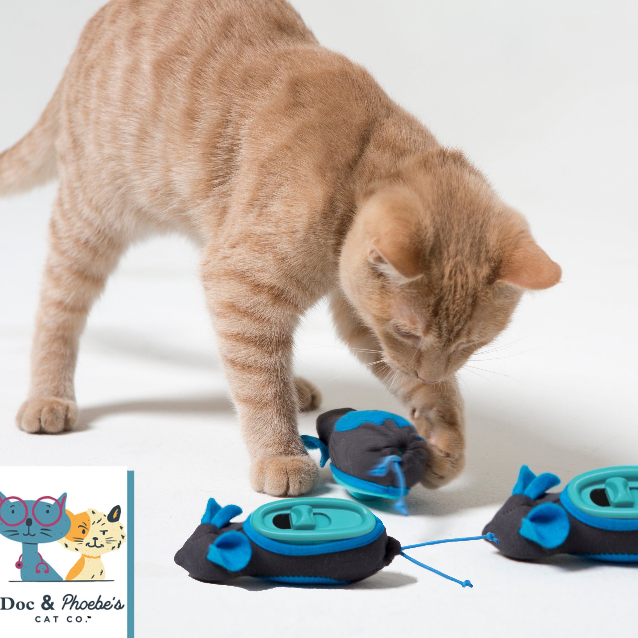 cat food toy