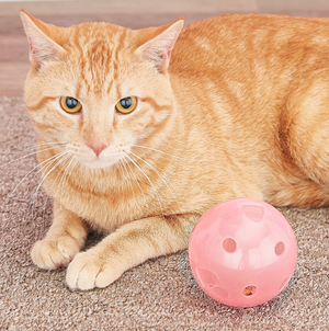 "SlimCat" - Puzzle Feeder + Treat Ball - ROAR Cats - ROAR CATS