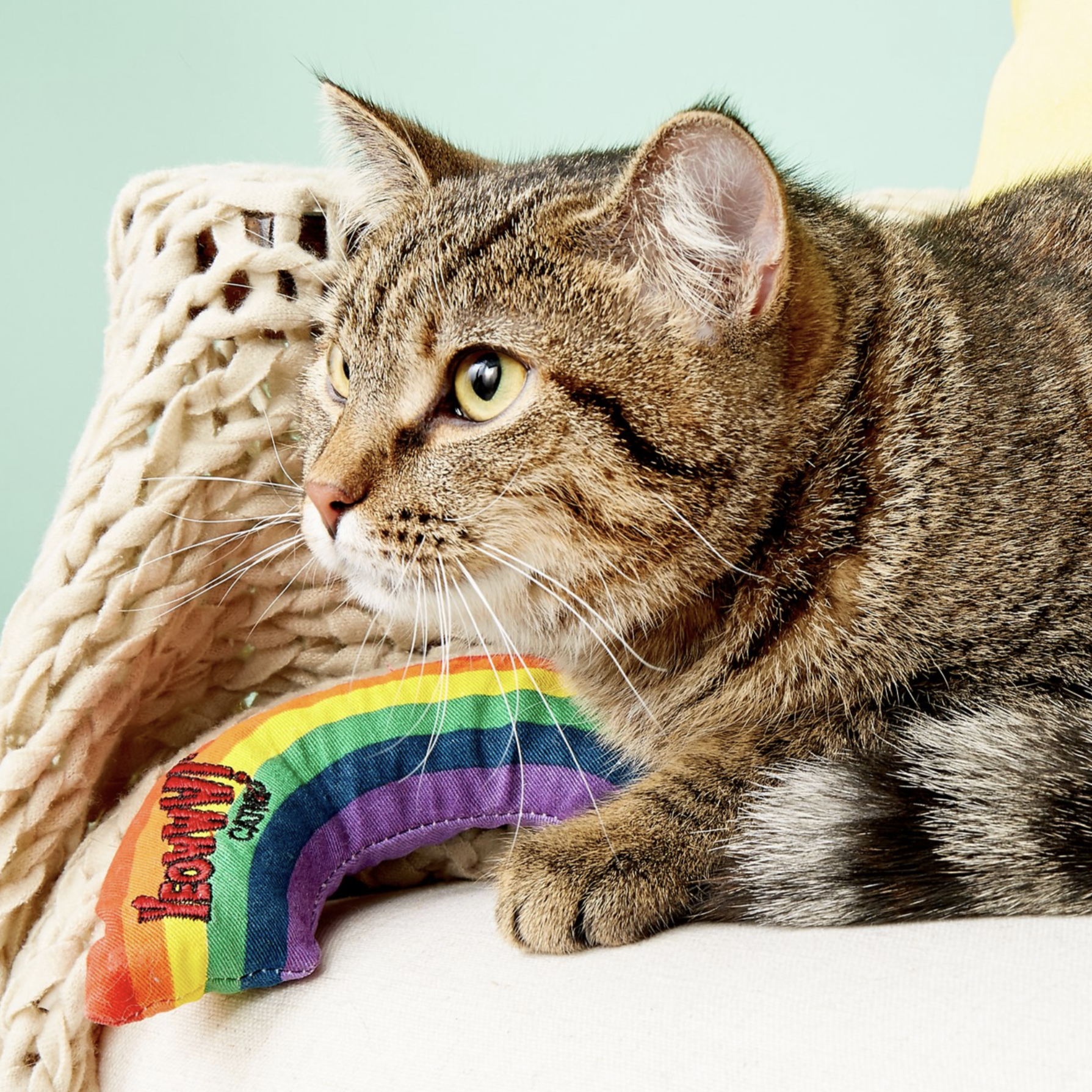 yeowww catnip rainbow